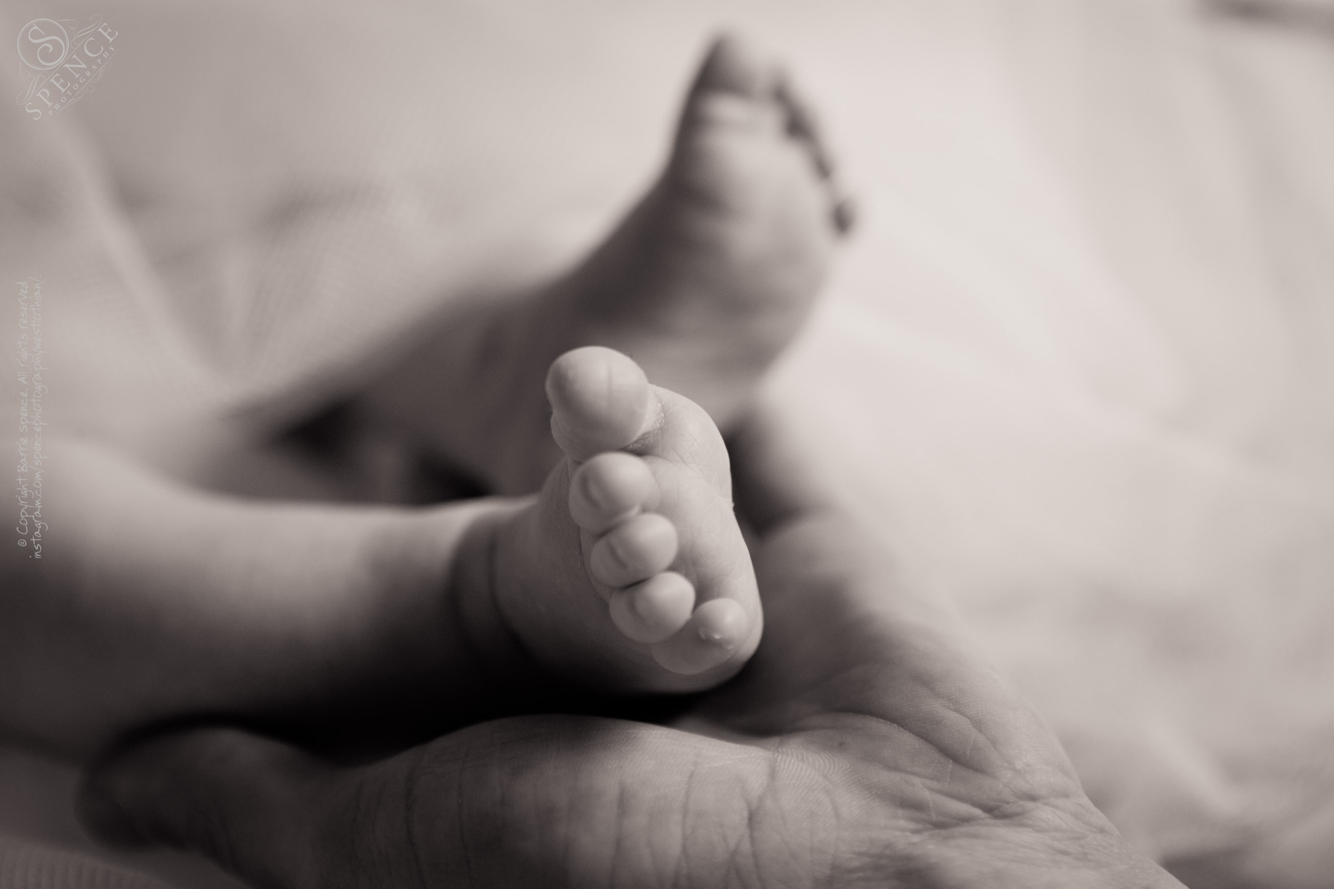http://www.spencephotography.co.uk/wp-content/uploads/2011/11/scott_and_leona-newborn_baby_ruby_2J2U4047.jpg