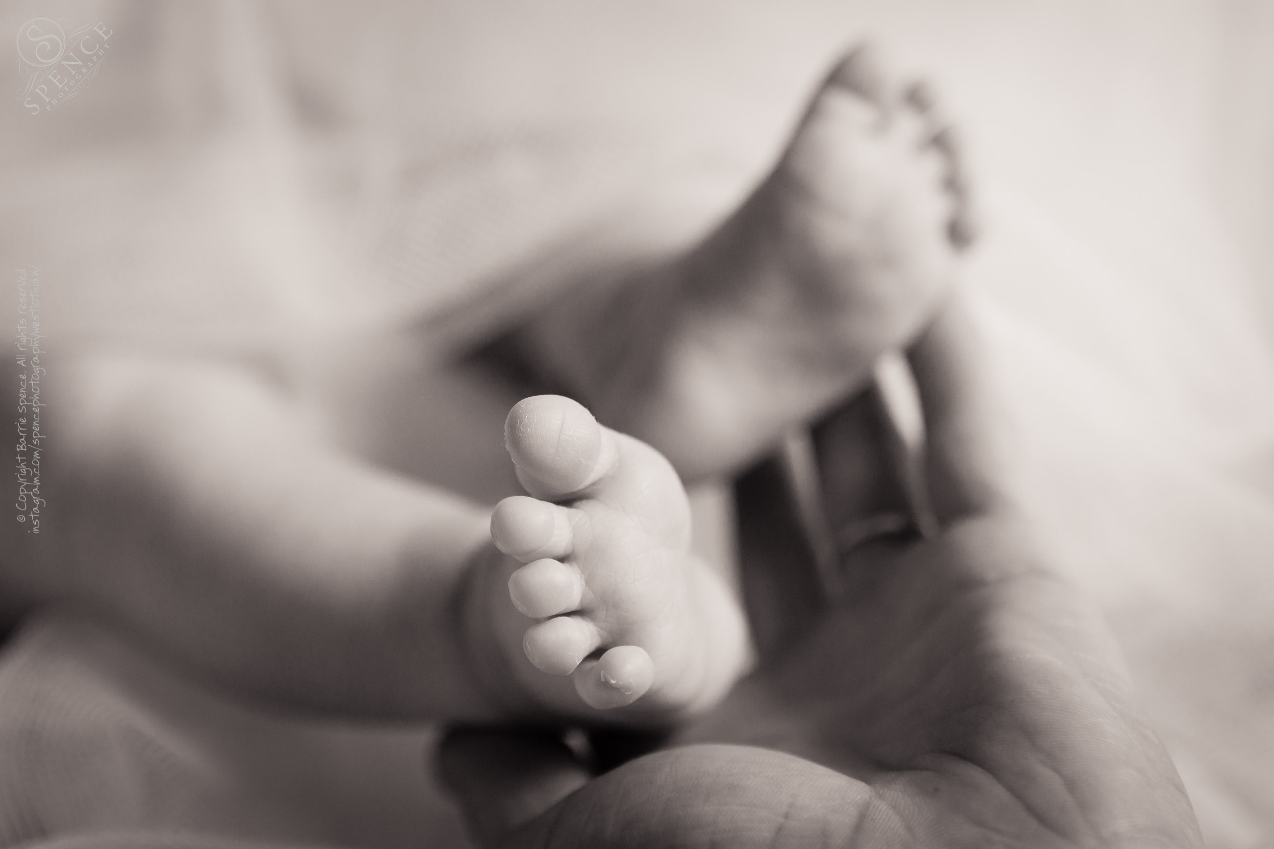 http://www.spencephotography.co.uk/wp-content/uploads/2011/11/scott_and_leona-newborn_baby_ruby_2J2U4050.jpg
